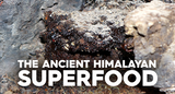 Shilajit: "The Ancient Himalayan Superfood"