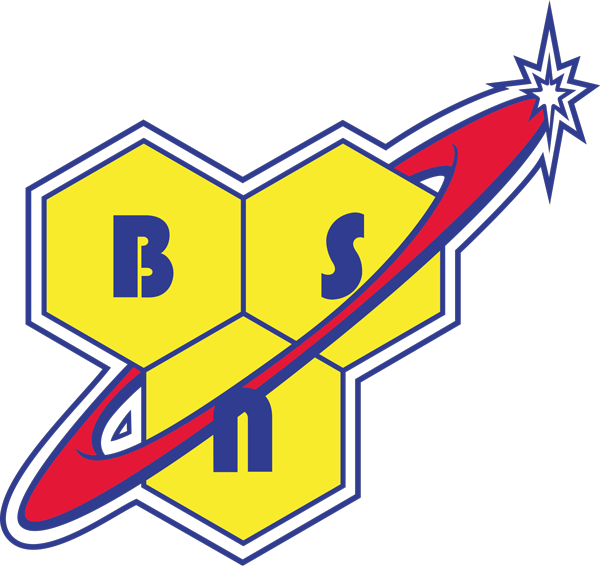 BSN Logo