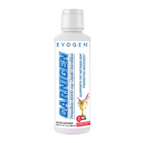 Carnigen Liquid Carnitine Matrix by Evogen