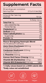 Energising Day Blend Functional Mushroom Gummies by Floww