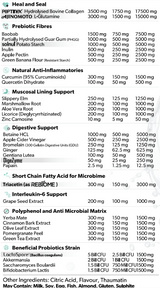 Everyday Gut Health by Primabolics
