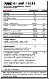 G Fuel Energy Formula By Gamma Labs Sn/nootropics