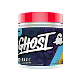 Size V2 By Ghost Lifestyle 30 Serves / Mango Sn/creatine
