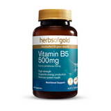 Vitamin B5 500mg by Herbs of Gold