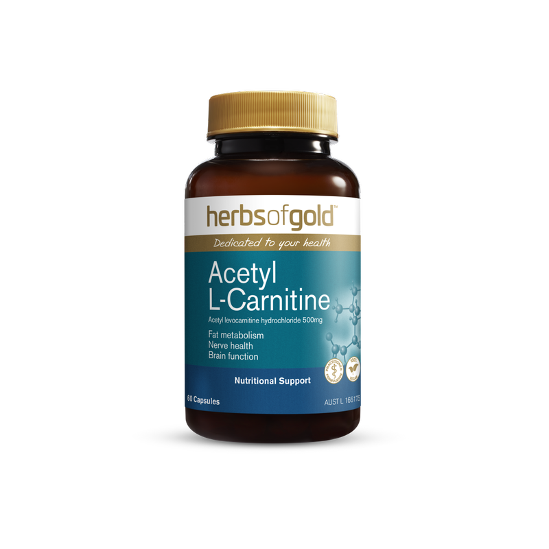Acetyl L-Carnitine By Herbs Of Gold 60 Capsules Hv/vitamins
