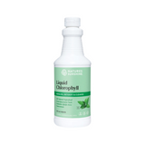 Liquid Chlorophyll By Natures Sunshine 473Ml / Spearmint Hv/general Health